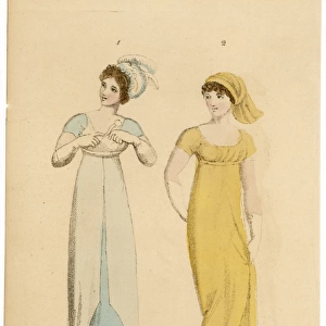 Evening Dress / Oct 1803