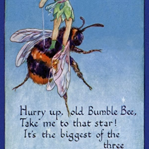 Fairy on a bumblebee