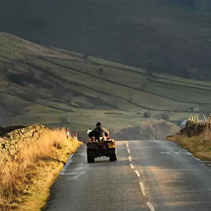Farmer and his dog on a quad bike Buttertubs Pass, Swaledale
