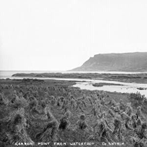 Garron Point from Waterfoot, Co. Antrim