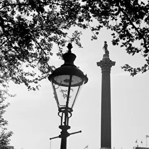 Gas lamp and Nelsons Column, Trafalgar Square, London