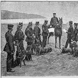 German Dogs of War