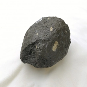 A Homo habilis hammerstone