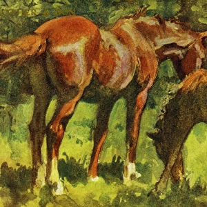Horse & foal