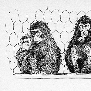 Illustration by Cecil Aldin, The Monkey House