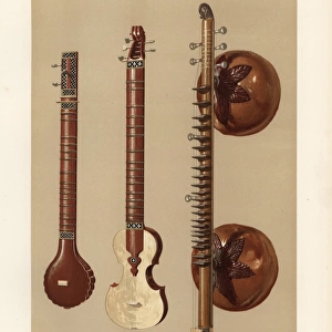 Indian sitars and a vina with large soundboxes