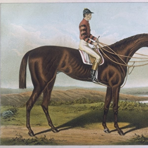Iroquois (Racehorse)