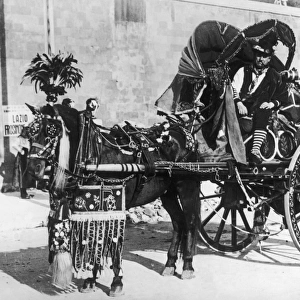 Italian Pony & Wine Cart