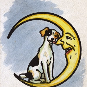 A Jolly Jack Russell licks the Moons nose