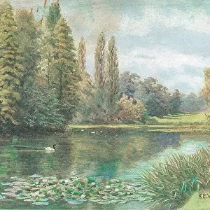 Kew Gardens, The Lake, London