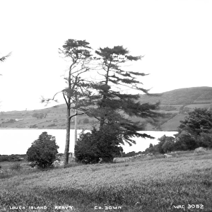 Lough Island Reavy, Co. Down