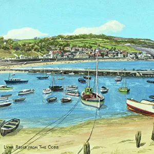 Lyme Regis from The Cobb, Dorset
