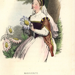 Marguerite daisy flower fairy, Argyranthemum frutescens