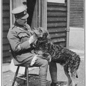 Military police Airedale dog at Aldershot