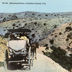 Mountain Drive, Santa Catalina Island, California, USA