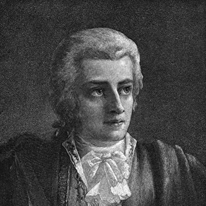 Mozart Vogel