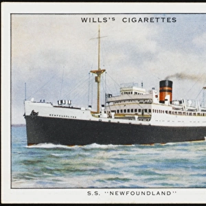 Newfoundland Steamer