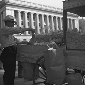 Peanut vendor outside the White House. Washington, D. C