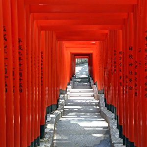 Red Torii gates and steps Hie-Jinja Shrine, Tokyo, Japan