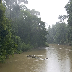 River Danum in the rain