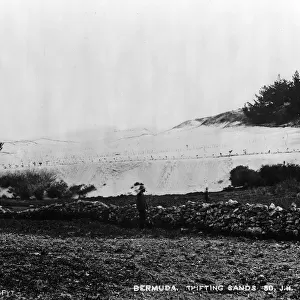 Sand hills in Bermuda 1873