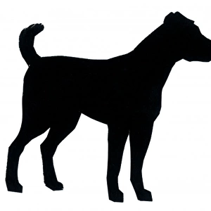 Silhouette of a dog standing still