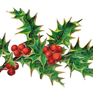 Sprig of holly on a Victorian Christmas scrap