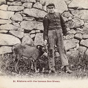 St Kildans with Soay Sheep