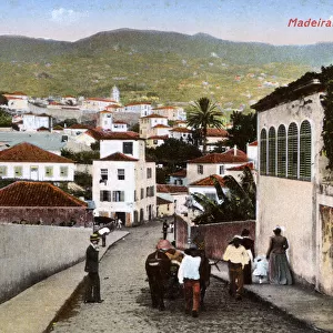 Street scene in Funchal, Madeira