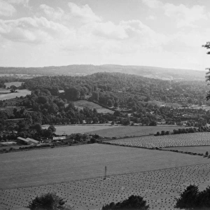 Surrey Panorama
