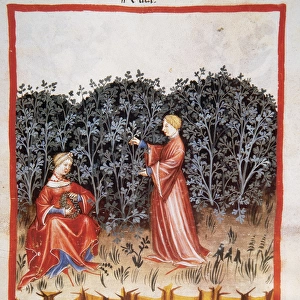 Tacuinum Sanitatis. Late XIV century. Women making a crown w