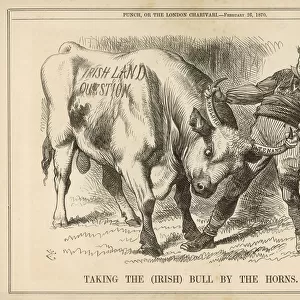 Taking Bull by Horns