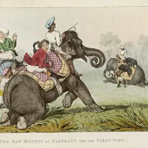 Tom Raw : on Elephant