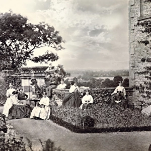 A Victorian family group seated in the garden