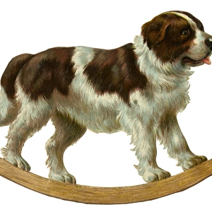 Victorian scrap - rocking St Bernard dog