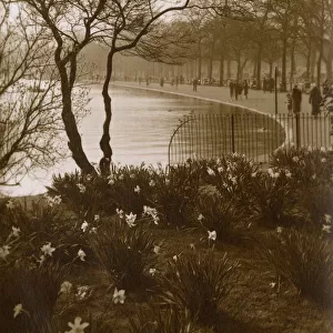 View of the Serpentine, Hyde Park, London - Springtime