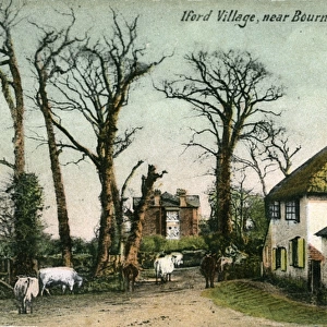 The Village, Iford, Dorset