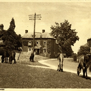 The Village, Lyndhurst, Hampshire