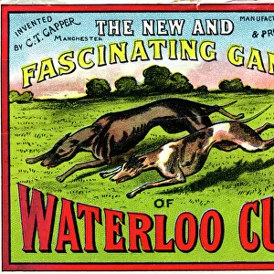 Waterloo Cup game