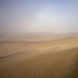 Dunes in the mist Dune Belt near Walvis Bay Namibia, Africa