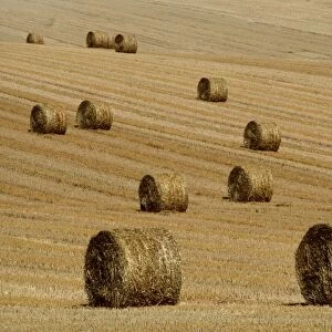 FARMING - Straw bales in field