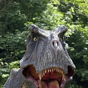 Prehistoric Reconstruction - close up head of Tyrannosaurus Rex - an extinct carnivorous therpod - Wildlife Park - Combe Martin - Devon - UK