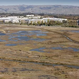 Saltmarsh, pools and lagoons at Don Edwards San Francisco Bay National Wildlife Refuge, California, United States