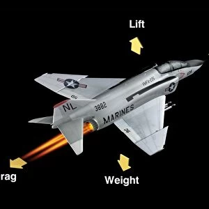Aerodynamic forces in flight, diagram C018 / 3556