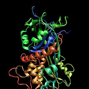 Antithrombin molecule