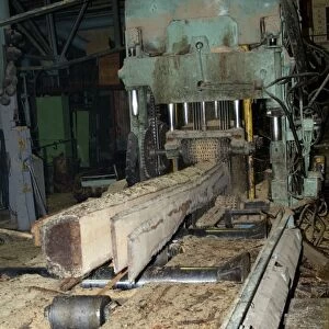 Boards being cut at a sawmill