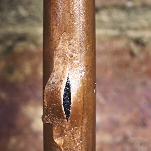 Burst water pipe
