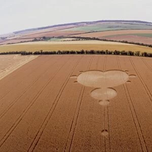 Crop formation in form of Mandelbrot set