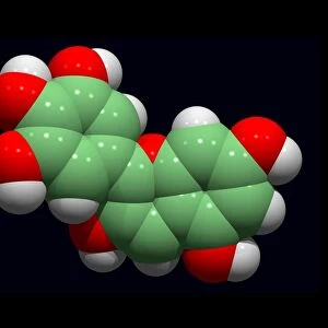 Delphinidin molecule