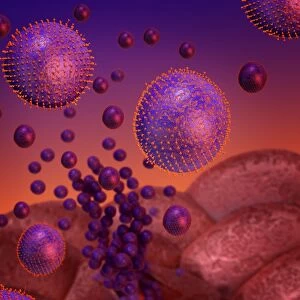 Flu virus infection, conceptual image